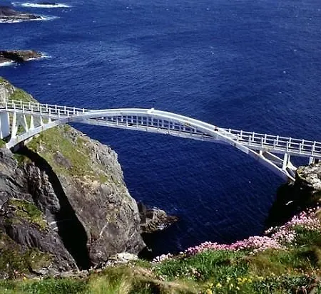 Bridge Bar House 5*